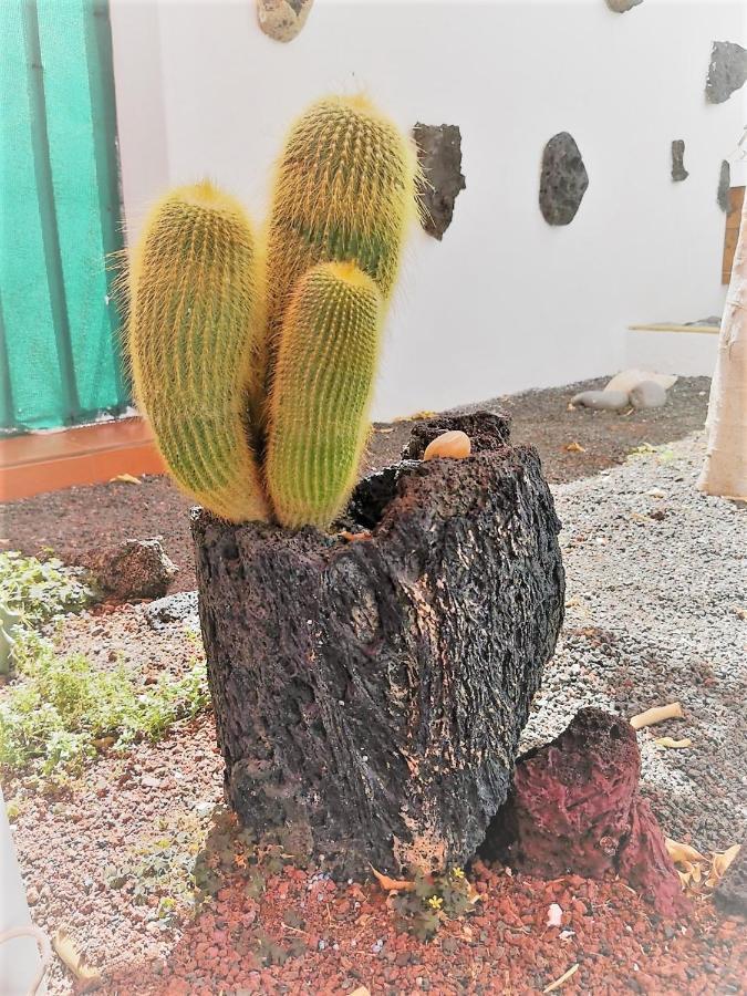 Budda House Puerto Del Carmen. تياس المظهر الخارجي الصورة